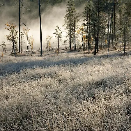 Apartamento Club Superior Salla