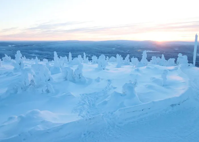 Apartment Club Superior *