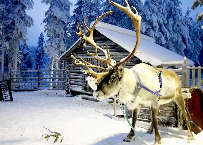 Club Superior Apartment